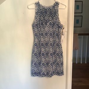 BB Dakota dress